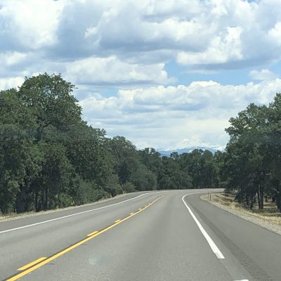 Wildlife Collisions on I-40